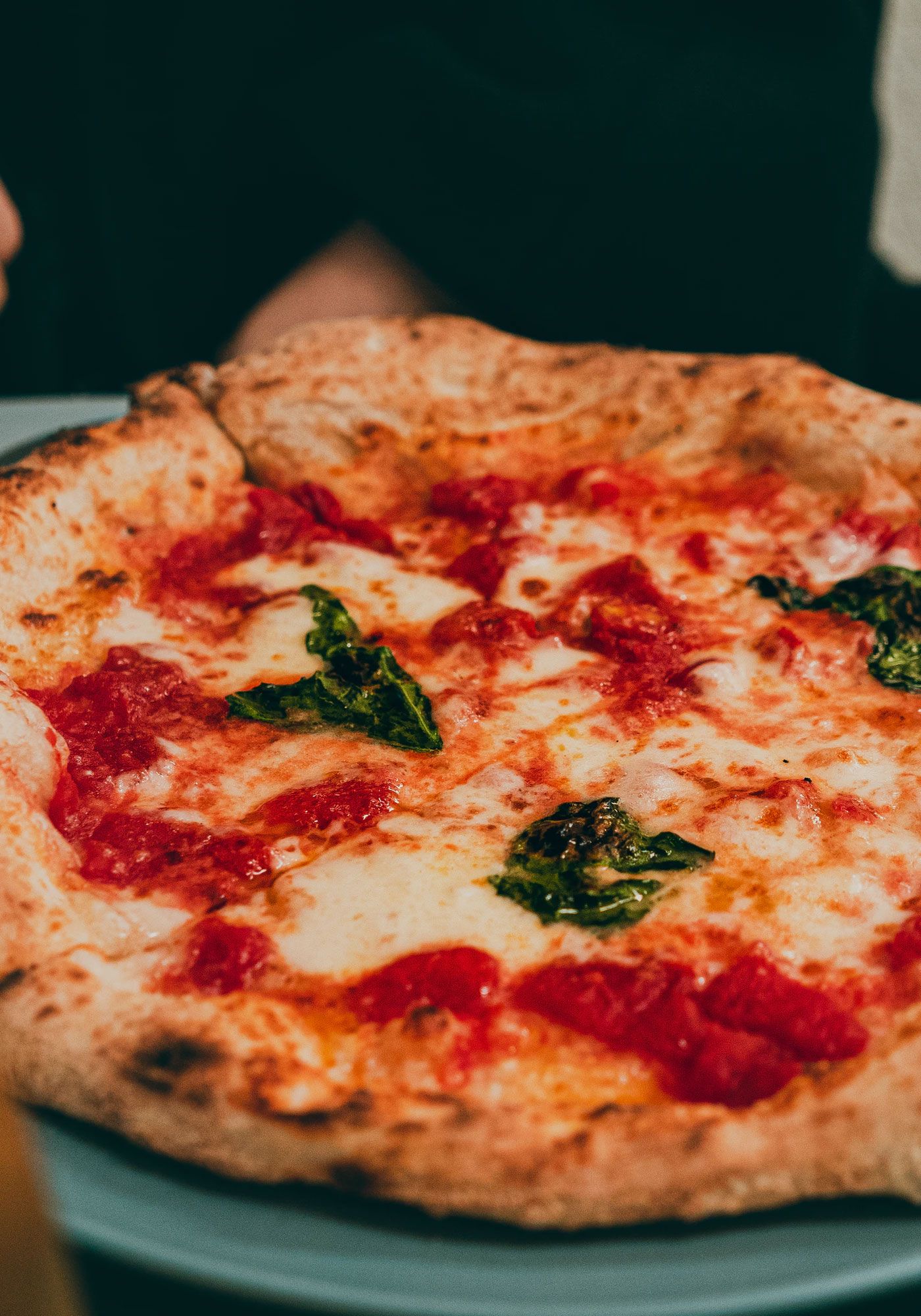 Classic Cheese cheese-classic